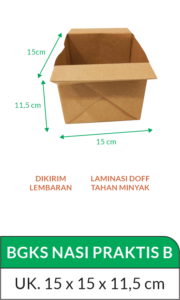 BGKS Nasi Praktis B
